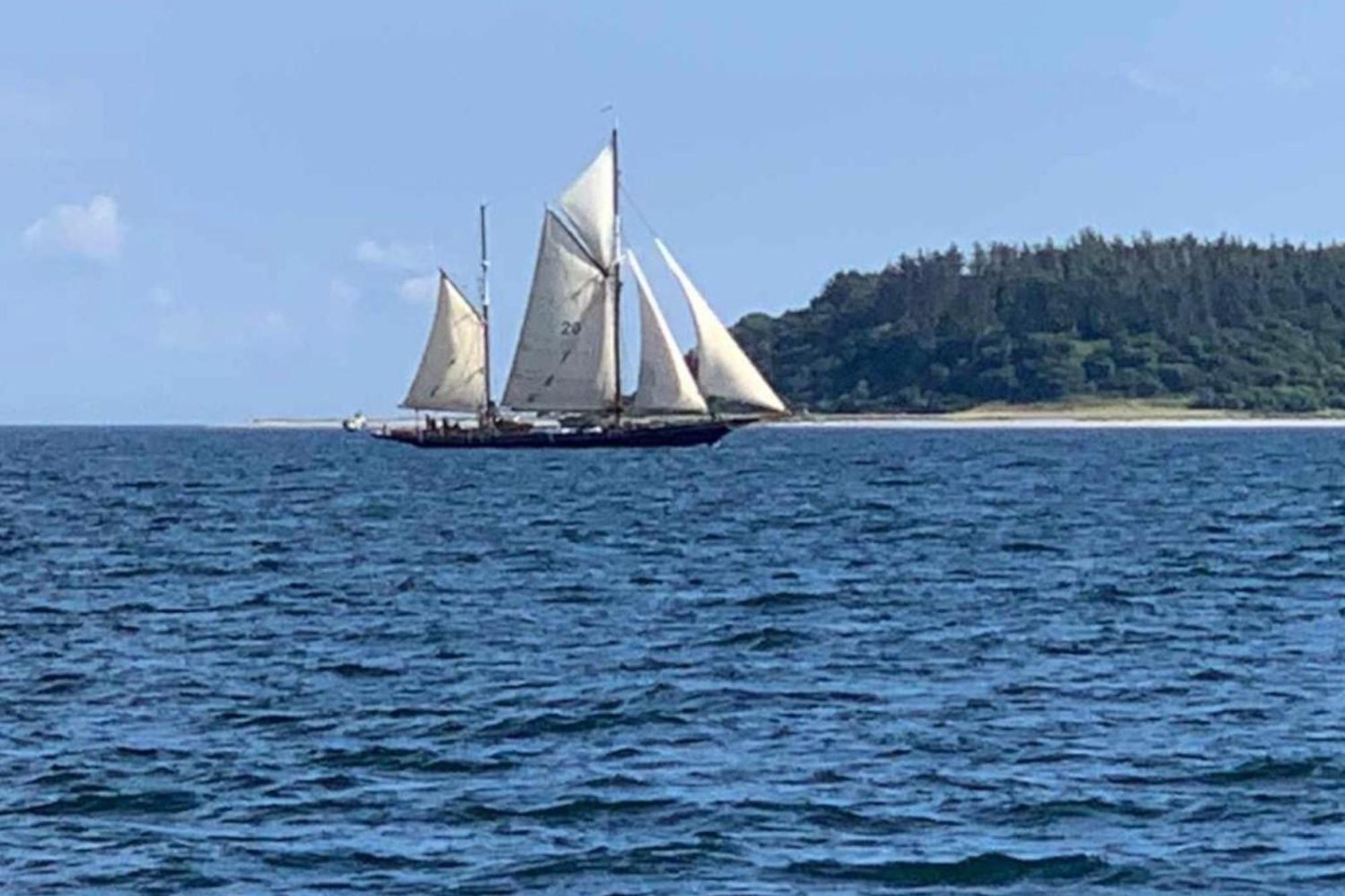Ostsee, Wunderschoene Wohnung Mit Meerblick ฮาร์ริสลี ภายนอก รูปภาพ